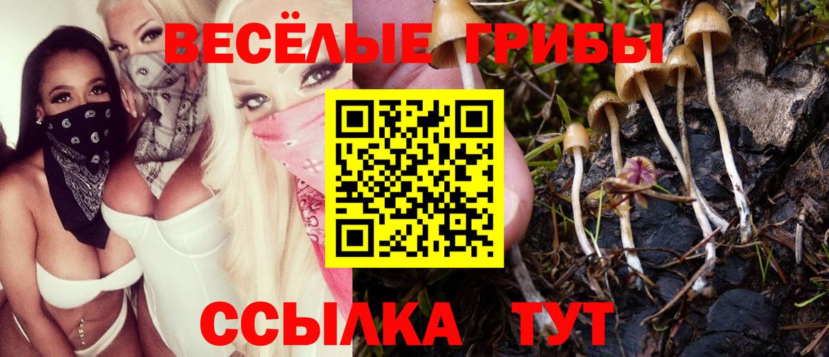 Галлюциногенные грибы прущие грибы Кудрово