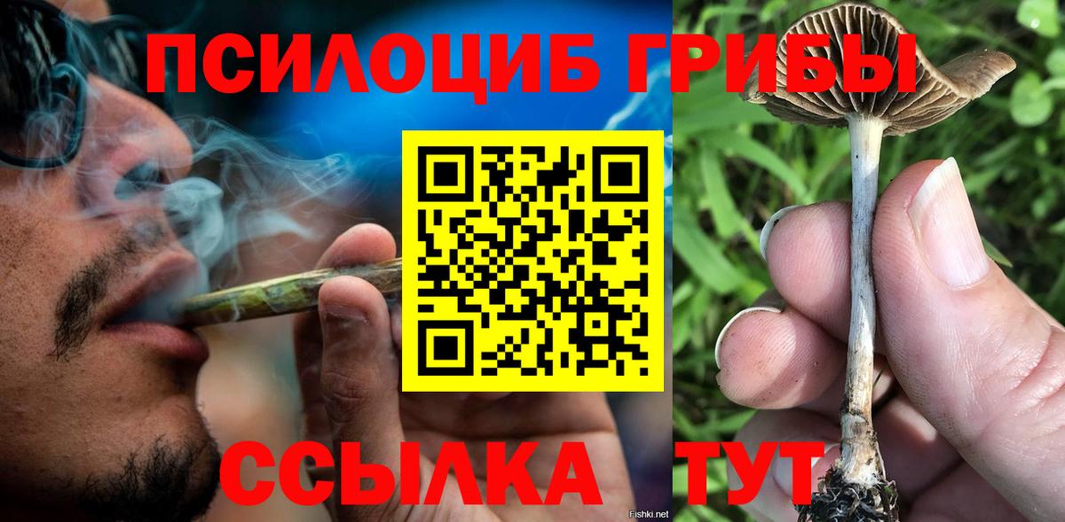 Кудрово  Псилоцибиновые грибы Psilocybe  купить наркоту  Вход с VPN 
